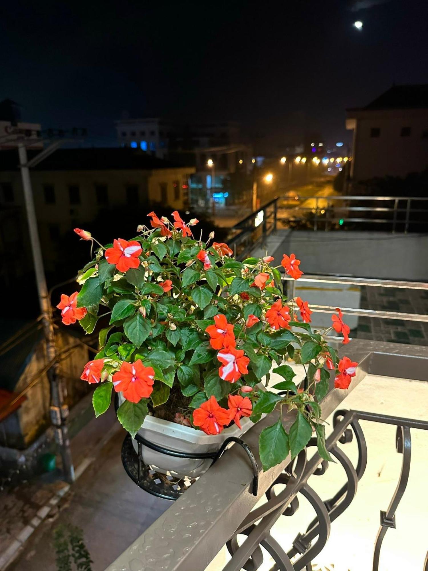 Dolce Mia Home Ninh Binh Bagian luar foto